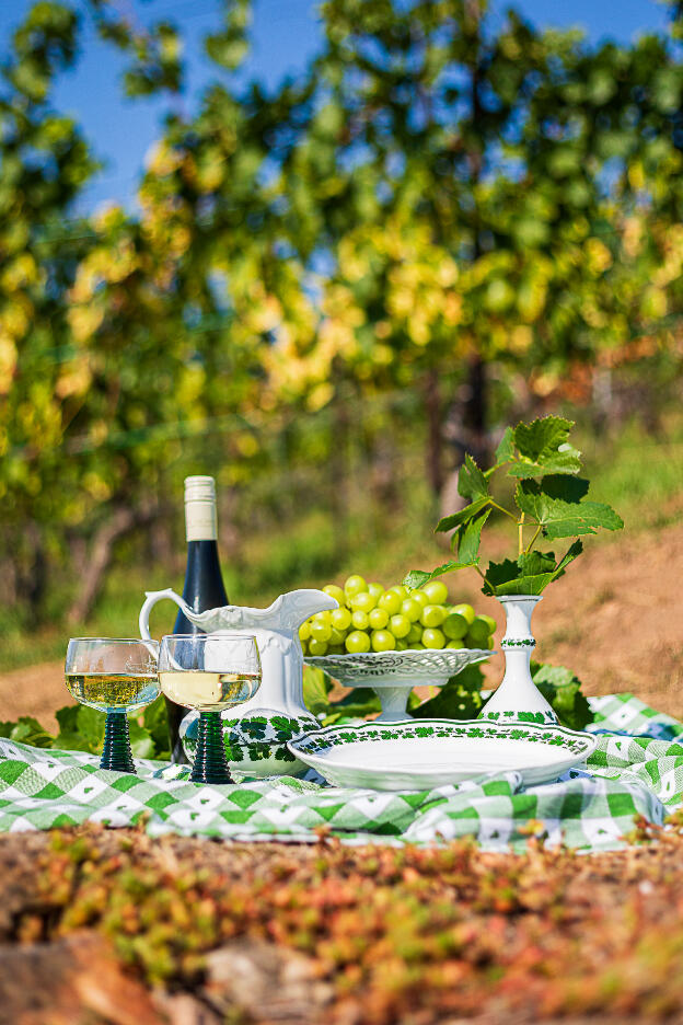 Stilleben im Weinberg mit Porzellan Voller grüner Weinkranz