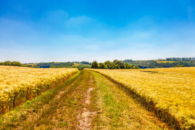 Alte Wege führen durchs Land