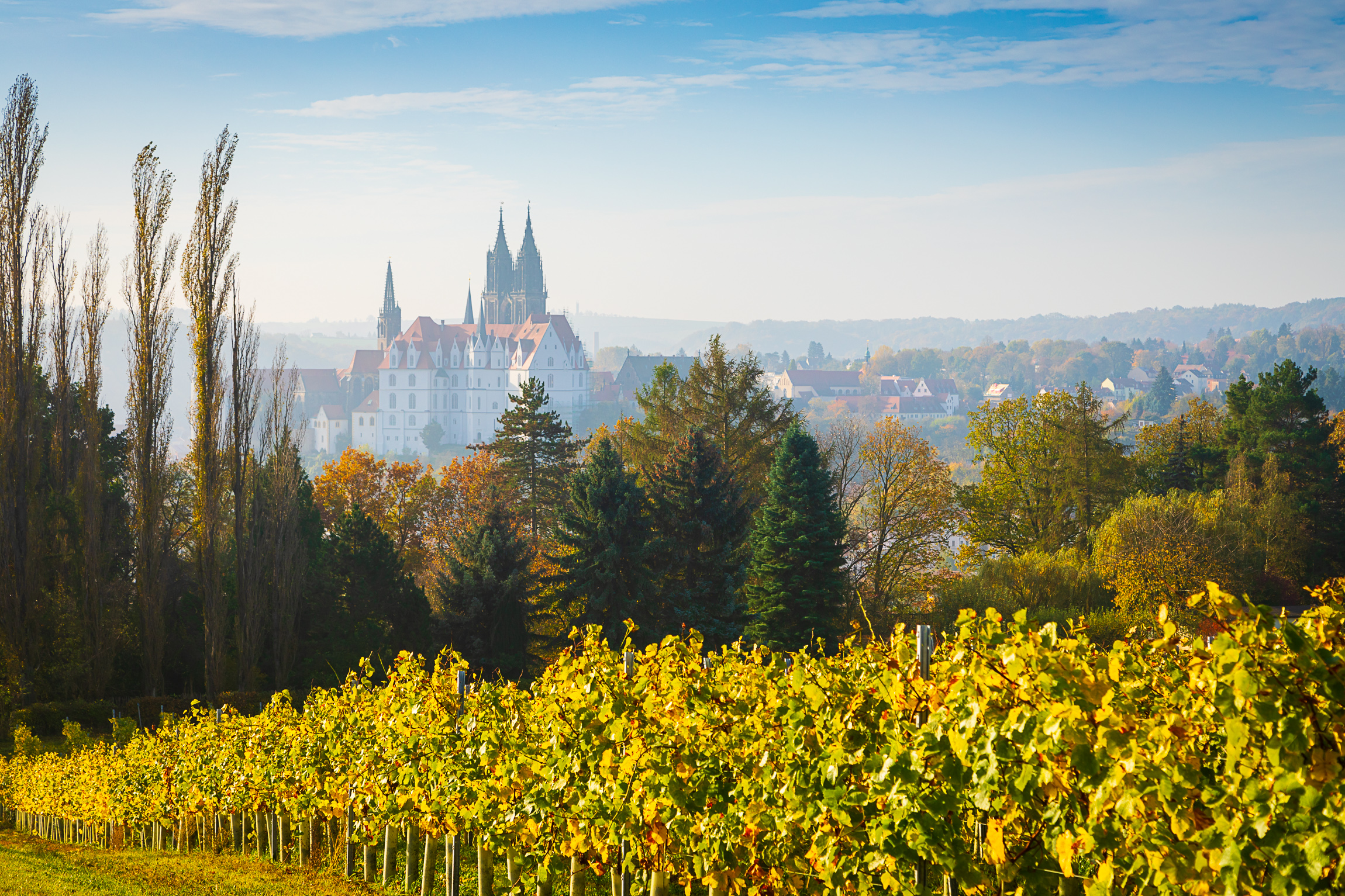 Herbst bei Meißen von Proschwitz