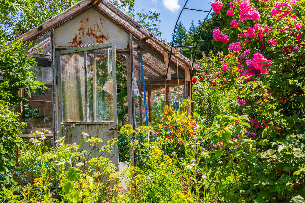 Altes Gartenhaus im blühenden Garten