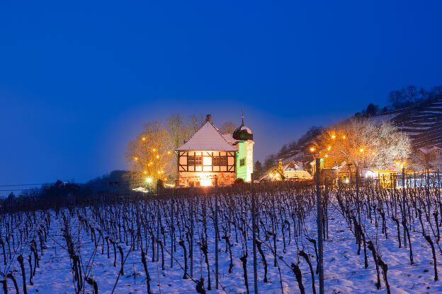 Hoflößnitz im Winter mit Schnee