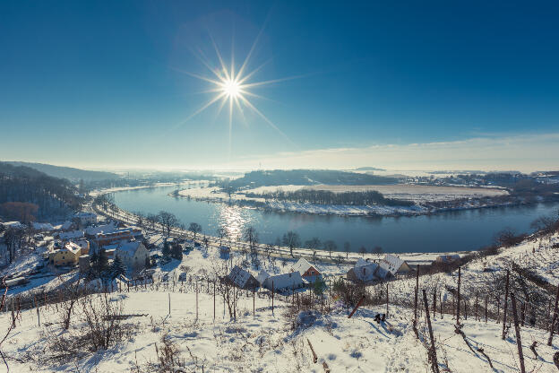Weinberg im Winter mit Schnee in Sachsen, Deutschland