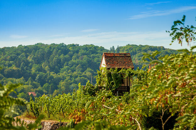Weingut Mariaberg Meißen