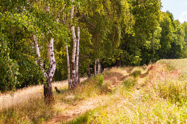 Alte Wege führen durchs Land