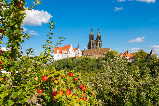 Meißner Dom