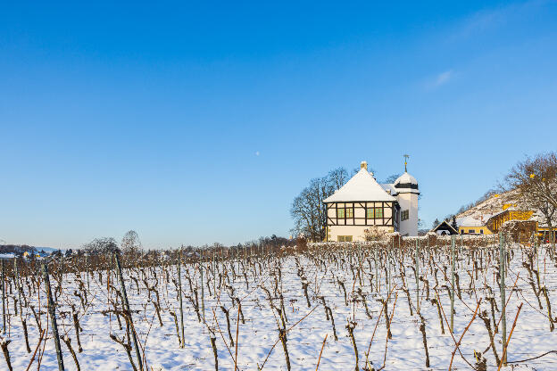 Hoflößnitz im Winter mit Schnee