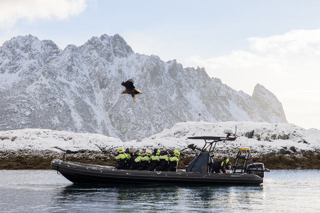 See-Eagle-Tour, Svolvaer, Lofoten, Norwegen