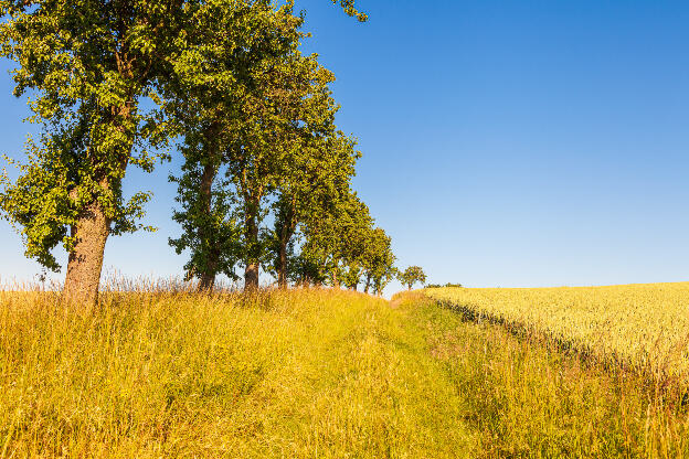 Alte Wege führen durchs Land