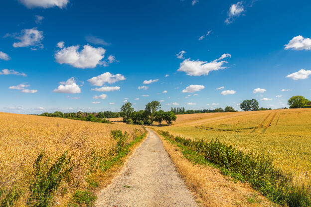 Alte Wege führen durchs Land