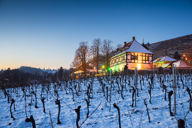 Hoflößnitz im Winter mit Schnee